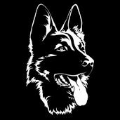 siamesheperd's profile picture. instrumentation technician.