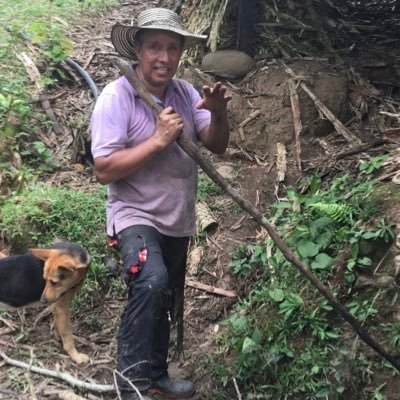 Arquiminio17682's profile picture. 