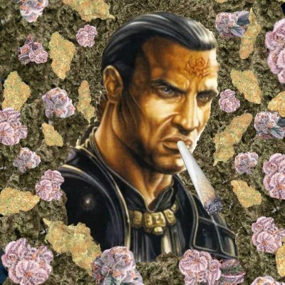 murphysmemecrib's profile picture. MEGA ⬛️🟧 Nig/ger