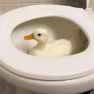 Swackery McQuackeryさんのプロフィール画像