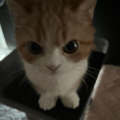 ToJaEryk's profile picture. 