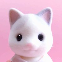 ぬこっこさん (@fortune2525253) 's Twitter Profile Photo ぬこっこさん (@fortune2525253) 's Twitter Profile Photo