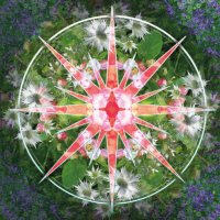 The Orb (@orbinfo) 's Twitter Profile