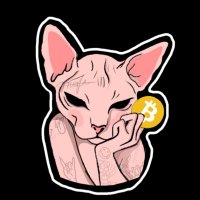 DeFi_ MEOW (@defi_meow) 's Twitter Profile