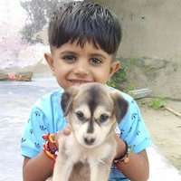 Raju Meena (@raju98y) 's Twitter Profile
