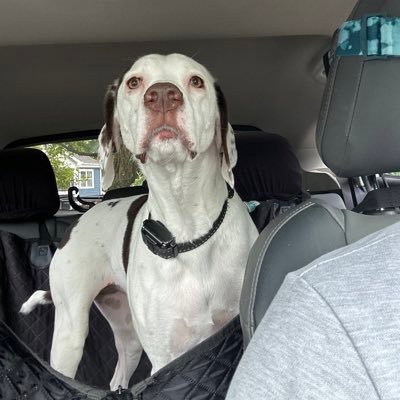 imToenee's profile picture. hi ¯\_(ツ)_/¯