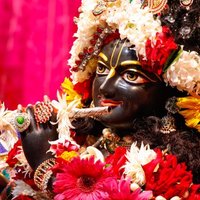 ISKCON Varanasi (@iskconvicc) 's Twitter Profile