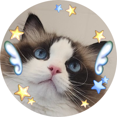 ACT10NFIGURE's profile picture. Coco Liu Fans International