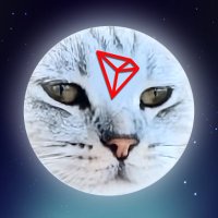 MUNCAT (@muncat_trx) 's Twitter Profile