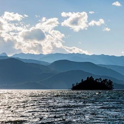 AlejandroLeone9's profile picture. 