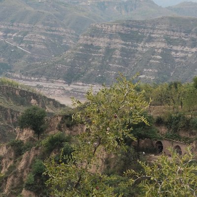 hzg88688868's profile picture. t