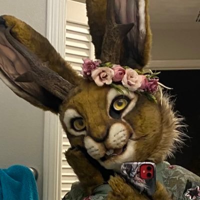 Freya 🔜 Bskyさんのプロフィール画像