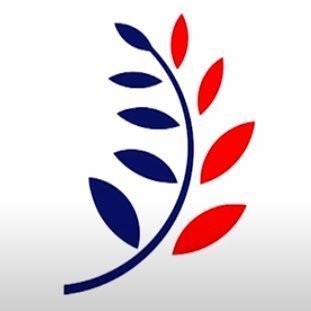 Glio_57's profile picture. La laideur a ceci de supérieure à la beauté qu'elle ne disparaît pas avec le temps. Serge Gainsbourg ✍️ @usombasket 😇 @CaenBC14 🏀 @sportacaen 🏆