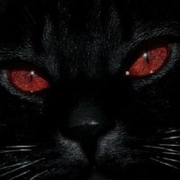 . (@247represent) 's Twitter Profile