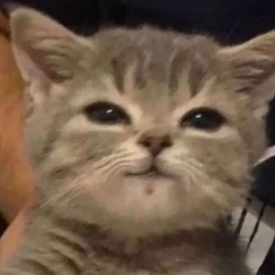 Elementary1337's profile picture. Horror, Art & Poetry enthusiast. Posting things I made or like, or occasionally both. For your own interpretation. #TeamHumanity