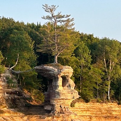 CraigWoodcraft's profile picture. 