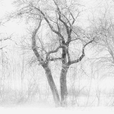 mark_walker7728's profile picture. Photographer. Aspiring artist. Love to capture moments in time in Nature and share them with others. Reside in the beautiful state of Massachusetts.