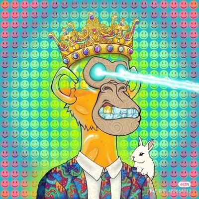 niejinyang0918's profile picture. 