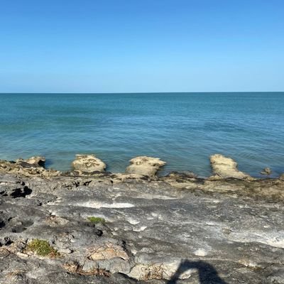 ¿QUE DONDE VENGO?.... ME PREGUNTA LA GENTE.
VENGO DEL MAR ENFRENTE DE UN PUEBLO ENCANTADOR
