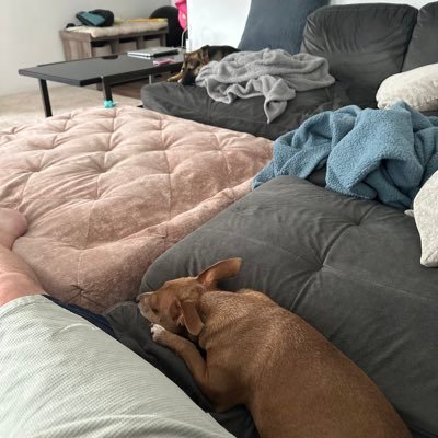 sartech99's profile picture. DFS looking for my first 6 figure in 25, DET sports, had a brain tumor still recovering forever it feels like, working out again 🤞