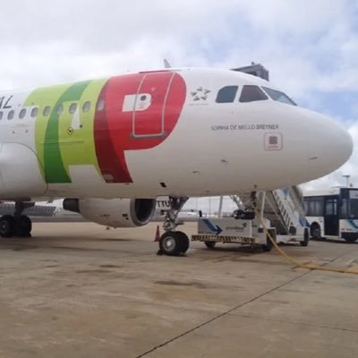 Mayday_Mayday_8's profile picture. ✈️