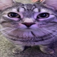 Tomm Bomn π (@tommbomn) 's Twitter Profile