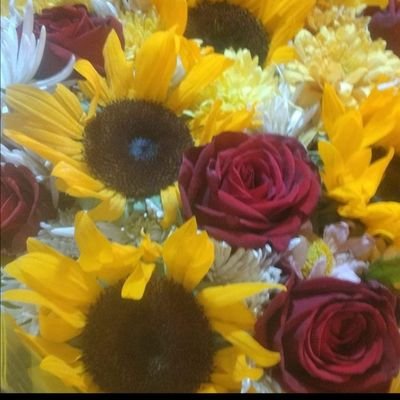 amnh_alrfa67698's profile picture. 