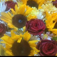 آمنة الرفاعي (@amnh_alrfa67698) Twitter profile photo