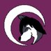 Generic Furry Name Here (@stormy_malawolf) Twitter profile photo Generic Furry Name Here (@stormy_malawolf) Twitter profile photo
