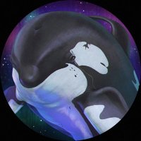 AkaiTheOrca (@akaitheorca) 's Twitter Profile