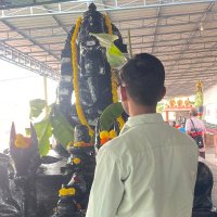 Mr. Vijay Patel (@vijaypr49529145) 's Twitter Profile