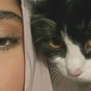 xreud's profile picture. أضع هنا ما يعجبني فقط.