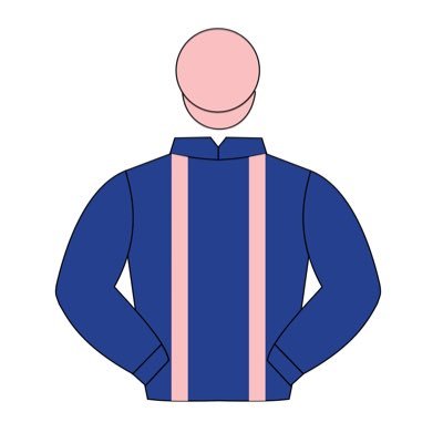 Racehorse Data & Sourcing | King XJ, Duplantis, Cleveleys | Email: maxbloodstock@gmail.com
