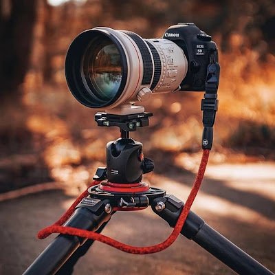 gold135069's profile picture. 