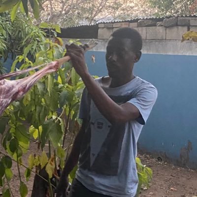 Ngim_Justice's profile picture. 