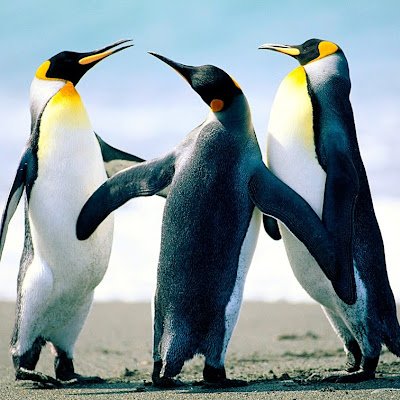 GianFo1967's profile picture. 