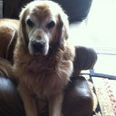 Diane Trainor - @dtrainorcal - Twitter