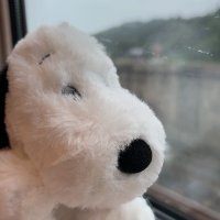 コロナ後遺症の看護師 (@long_covid19_ns) 's Twitter Profile