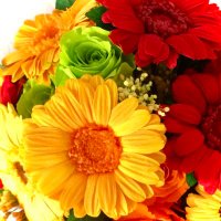 e_nami.smileandlove (@smilesmile_41) Twitter profile photo