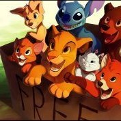 ShelbySmit11759's profile picture. I’m a professional people watcher.