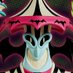 CHOGRIN (@chogrin) Twitter profile photo CHOGRIN (@chogrin) Twitter profile photo