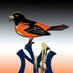 Dan Z Man (@oriolesravens43) Twitter profile photo Dan Z Man (@oriolesravens43) Twitter profile photo