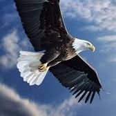 EgwucheO's profile picture. 