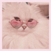 Carly Peterson (@carlypeteson) Twitter profile photo Carly Peterson (@carlypeteson) Twitter profile photo