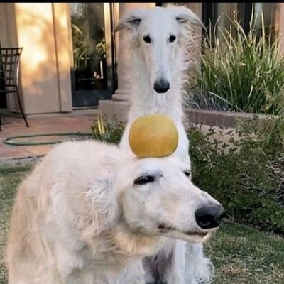 Edenn__09's profile picture. Hi.