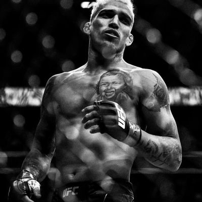 FabioBackUp's profile picture. 19