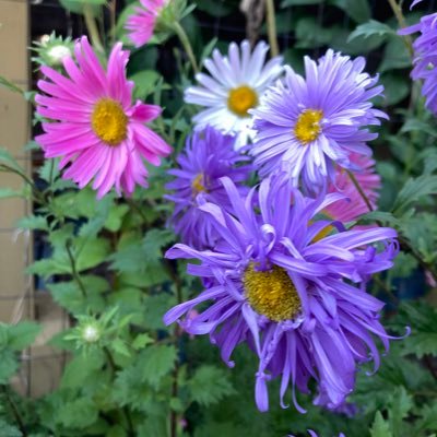 karifilipi's profile picture. Oklahoma born. Minnesota raised.