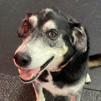 JimBo94554426's profile picture. 