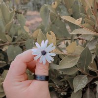 someone🇵🇸 (@devil_kh0) Twitter profile photo