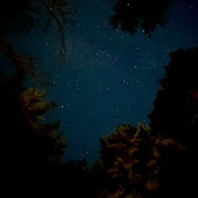 CohenTzivia's profile picture. 